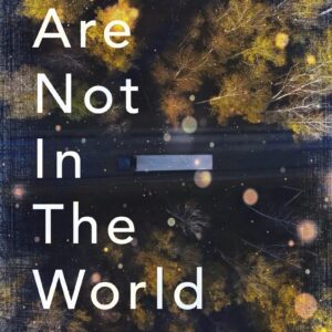 We Are Not in the World