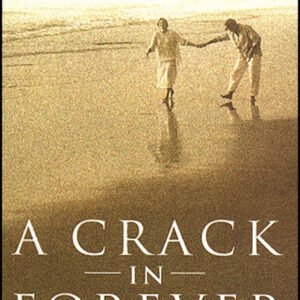 Crack In Forever