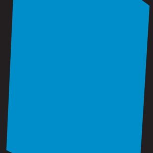 Mathematics of the Gods and the Algorithms of Men