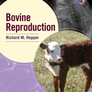 Bovine Reproduction