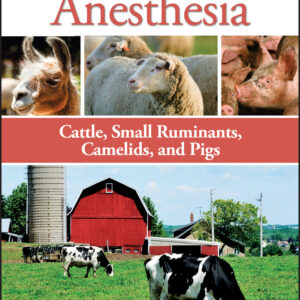 Farm Animal Anesthesia