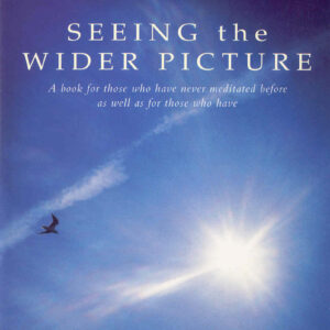 Seeing The Wider Picture