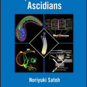 Developmental Genomics of Ascidians