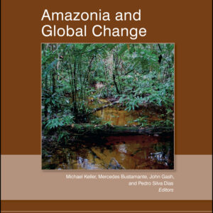 Amazonia and Global Change