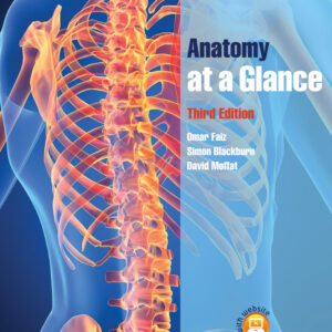 Anatomy at a Glance
