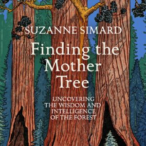 Finding the Mother Tree