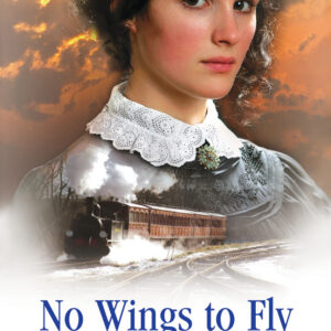 No Wings To Fly