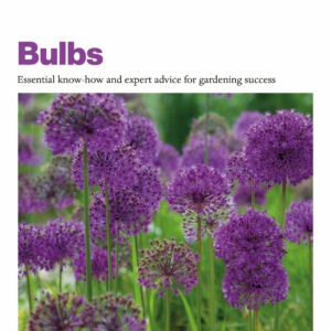 Grow Bulbs