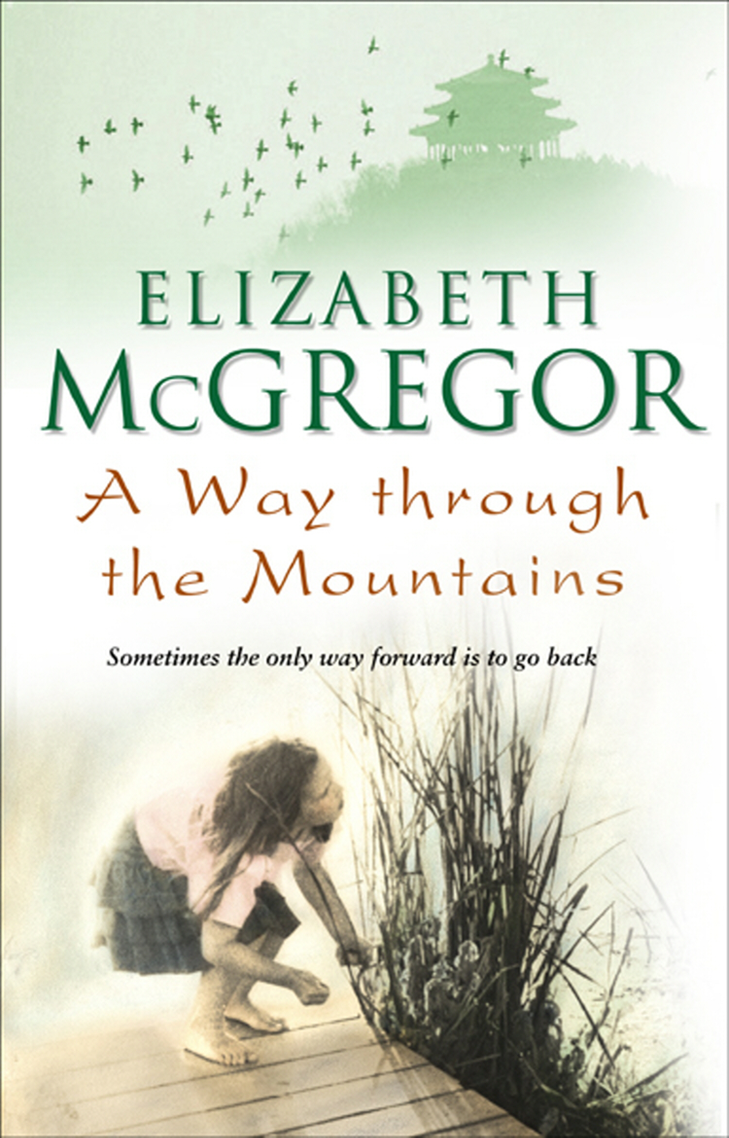 Way Through The Mountains