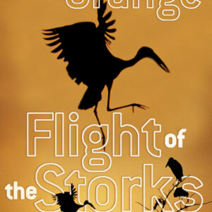 Flight Of The Storks