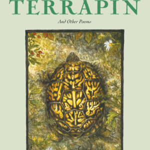 Terrapin