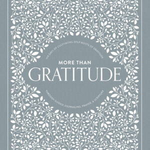 More Than Gratitude