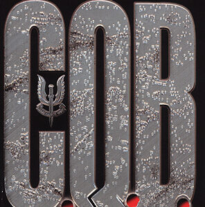 C.Q.B. (Close Quarter Battle)