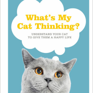What's My Cat Thinking?