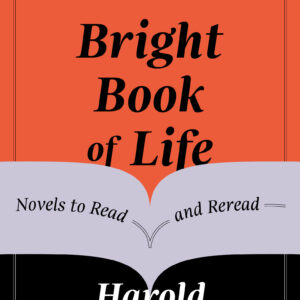 The Bright Book of Life
