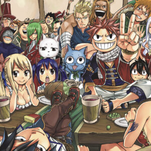 FAIRY TAIL Manga Box Set 6