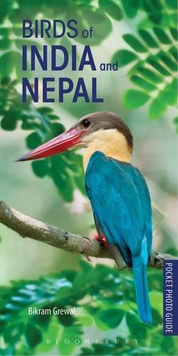 Pocket Photo Guide to the Birds of India and Nepal 9781472937858 ...