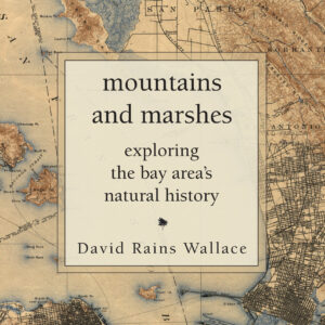 Mountains and Marshes