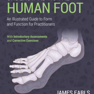 Understanding the Human Foot