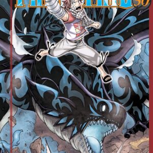 FAIRY TAIL 30