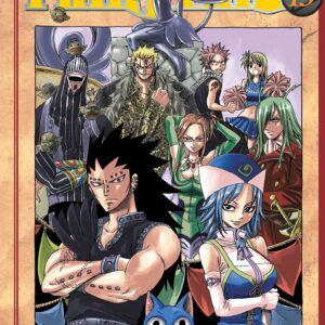 FAIRY TAIL 13