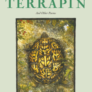 Terrapin