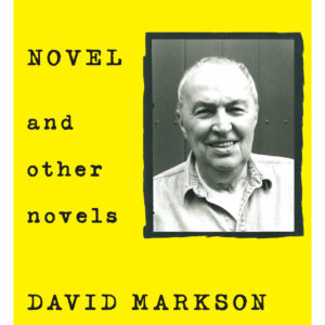 This is Not a Novel and Other Novels