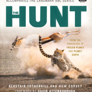 Hunt
