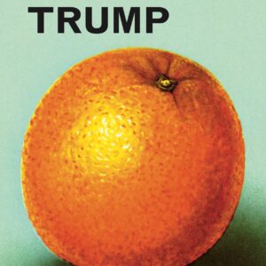 Ladybird Book About Donald Trump