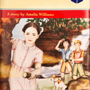 Doctor Who: Summer Falls