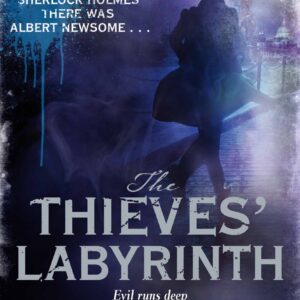 Thieves' Labyrinth