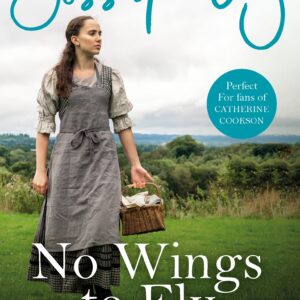 No Wings To Fly
