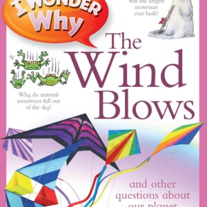 I Wonder Why The Wind Blows
