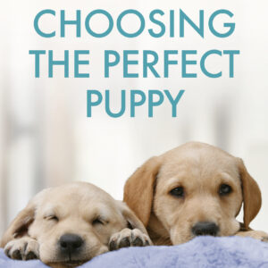 Choosing the Perfect Puppy