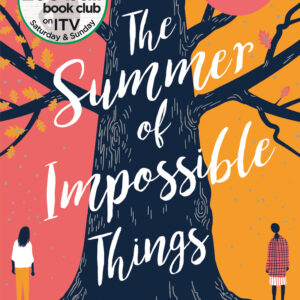 Summer of Impossible Things