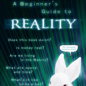 Beginner's Guide to Reality