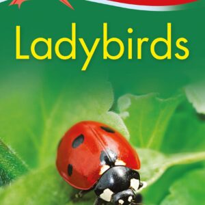 Kingfisher Readers: Ladybirds (Level 1: Beginning to Read)