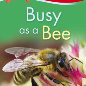 Kingfisher Readers: Busy as a Bee (Level 1: Beginning to Read)