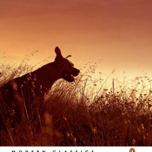 Jock of the Bushveld