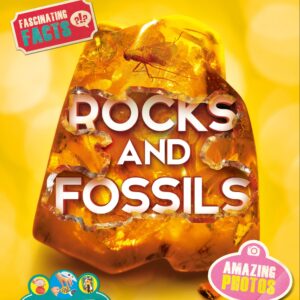 Discover Science: Rocks and Fossils