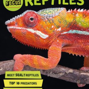 In Focus: Reptiles