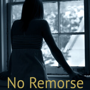No Remorse (Short Story)