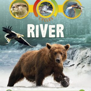 Life Cycles: River