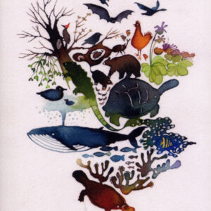 Origin of Species and the Voyage of the Beagle