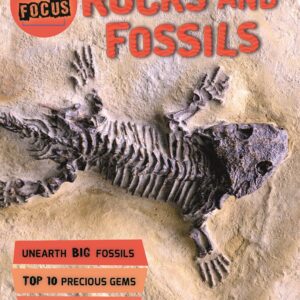 In Focus: Rocks and Fossils