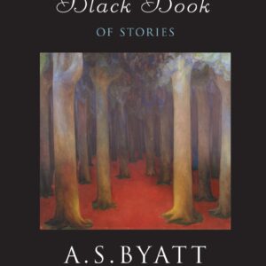 Little Black Book of Stories