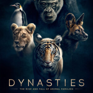 Dynasties