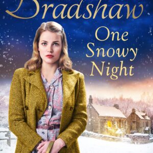 One Snowy Night