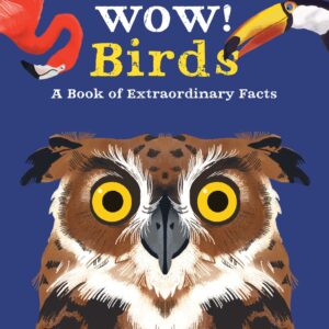 Wow! Birds