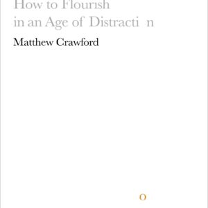 World Beyond Your Head